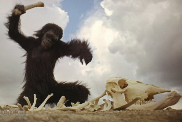 ape using bone as first tool movie 2001 - Google Search.jpg