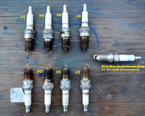 8 old champion spark plugs as found from previous owner.JPG